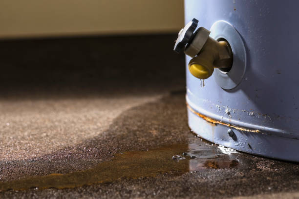 Best Ceiling water damage repair  in Hazen, AR