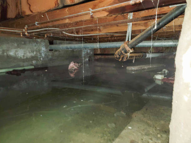 Best Water damage restoration near me  in Hazen, AR