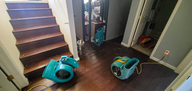 Trusted Hazen, AR Water damage restoration Experts
