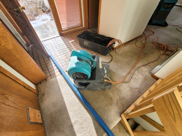 Best Emergency water damage restoration  in Hazen, AR
