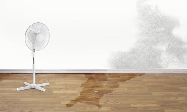 Best Flood restoration services  in Hazen, AR