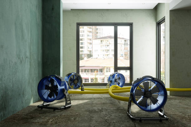 Best Water damage restoration near me  in Hazen, AR