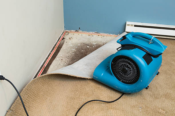 Best 24/7 water damage repair  in Hazen, AR